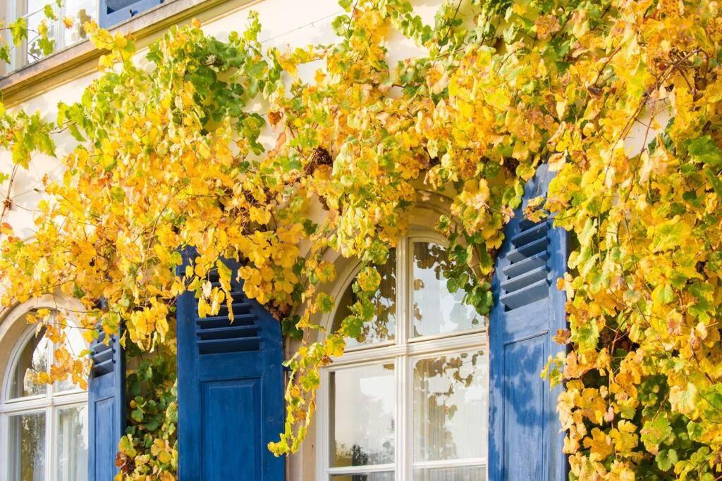 Tiny Haus Auf Idyllischem Grundstueck Im Rittergut Villa Klipphausen ภายนอก รูปภาพ